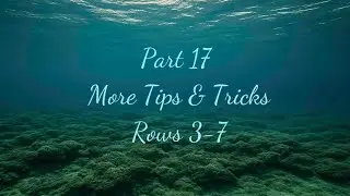 Part 17 | Lionfish Graphghan Crochet Blanket | More Tips & Tricks