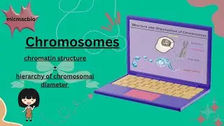 Genetics Basics | Chromosomes, Genes, DNA and Traits | micmacbio