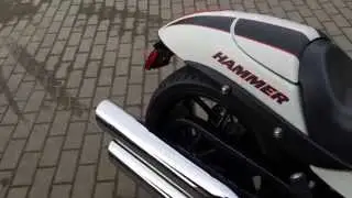 2010 VICTORY HAMMER S