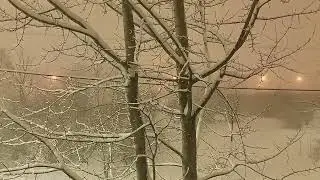 snow in march, st petersburg