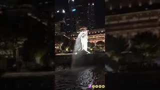 TZPM Favorite Songs Selection with animation