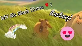COLORS 🌈 MV dla Black Horse (teraz R&oacute;żane Koniki🌹) 💖 Mustang! 🐎