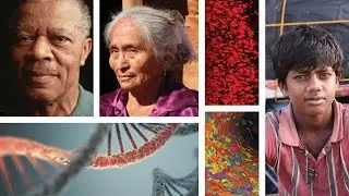 Ninth AACR Conference on the Science of Cancer Health Disparities