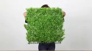 Tropical Fern