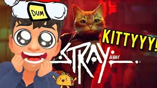 🔴{LIVE} Trying To Get Out of This Cursed Under World D; | Stray