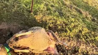 Imagínense lo que puede pasar en cinco minutos, una tragedia…