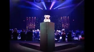 Children's Aid Foundation of Canada Gala - Teddy Bear Affair 2018