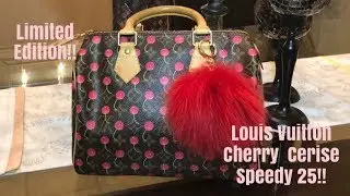 Louis Vuitton Vintage Cherry Cerise Speedy 25
