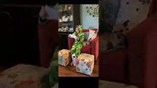 Kurveshop Unboxing Ft. Grace Madison K