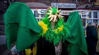 Wren Day: 'It's all about tradition'