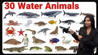 30 water animals Name for Kids 🐌🪱🐠🐊 | animals with Pictures |  #wateranimals #animals  #preschool