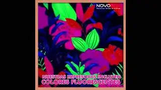 Impresora textil con tintas fluorescentes | Novotex Ecuador #mimaki #roland #novotex