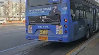 {파업진행중}서울특별시 일반 시내버스 303번버스 주행영상