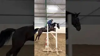 Ella & Toppi JUMPING LESSON❤️ #shortsvideo #horse