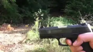 Taurus pt 809