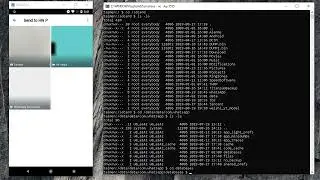 WhatsApp Remote Code Exploit Vulnerability!