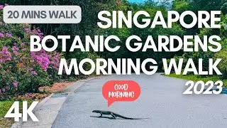 [4K - Virtual Walk] Botanic Garden Morning Walk with Monitor Lizard : Oct 2023