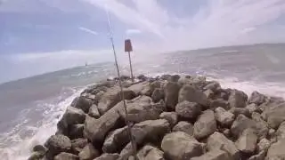 luis daddy barton on sea