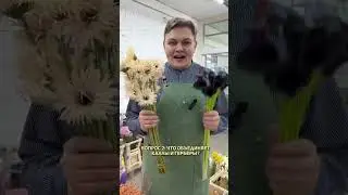 Викторина для начинающих флористов
