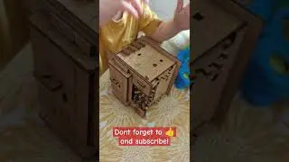 little man taking on the  Schr&ouml;dingers Cat #puzzle box! #shorts