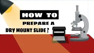 How to Prepare a Dry Mount Slide || Learning Practicals || #biology #bio #practicals #learning #lab