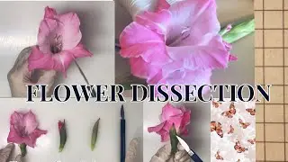 FLOWER DISSECTION 🍃🌸🥀☘️🪵 and flower anatomy