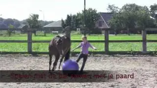 Paardrijlessen bij Unique Horses
