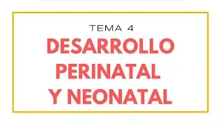 Desarrollo perinatal y neonatal | Psicología del Ciclo Vital | Psicología en podcast