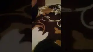 20 января 2018 г.