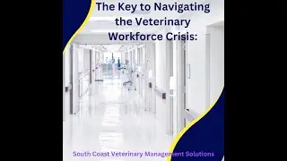 Navigating The Veterinary Workforce Crisis Recording with Captions 1920x1080