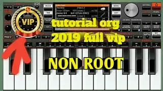 Org 2019 vip
