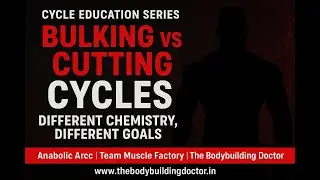 Bulking Cycles vs Cutting Cycles  Different Chemistry, Different Goals | Cycle Education Series Ep.4