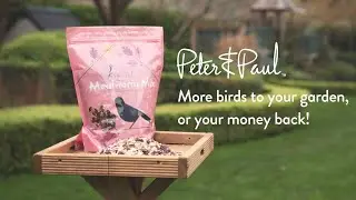 Peter & Paul Wild Bird Food Mealworm Mix