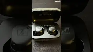 ТОП'чик от Sennheiser - Momentum True Wireless 3!