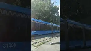 Витязь 31008