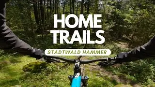 Erste MTB Abfahrt der Saison | Crash inklusive! | Home Trails Stadtwaldhammer Darmstadt | Move on up