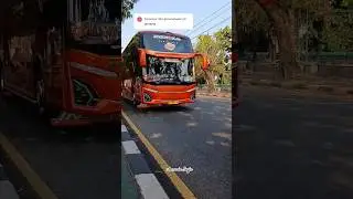 CHAYLA JANGULEEE Trans🤩#shorts #janguleee #busartis #busmania #basuribussid #basuri #telolet