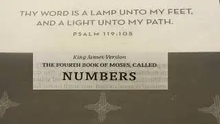 King James Version (KJV) Audio Holy Bible - Old Testament - Numbers - Chapter 9