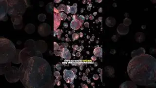 I explained The Multiverse to a 5 year old!