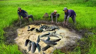Best Baits for Catching Copper Snakehead Fish