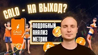 CALO - всем на выход? Анализ метрик проекта (13.06)