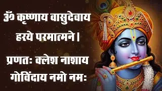 Krishna Mantra - Om Krishnaya Vasudevaya Haraye Paramatmane 108 Times | Bhakti Song | Krishna Bhajan