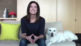 Discover How Dog CPR Can Save Your Pets Life  Dog First Aid