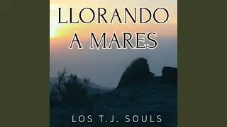 En una Tarde Gris