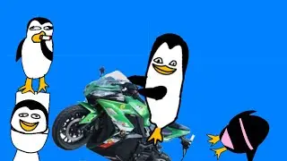 Los Pingüinos Me La Van A Mascar Meme, But Animation