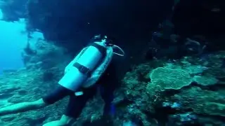 Tinoto Marine Sanctuary 01/03/2016 720p
