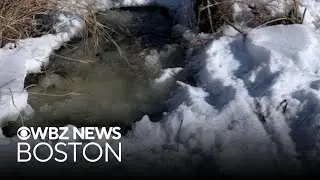 Massachusetts community issues safety warning over icy beaver dams