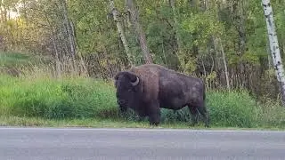 Elk Island National Park entrance 