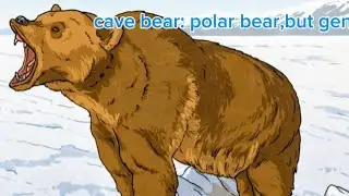 Cave bear:the neanderthals competitor!