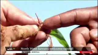 North West farmers welcome good rains